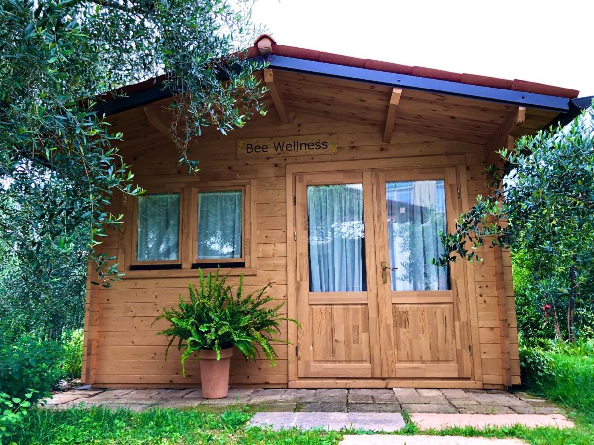 Apartment Beehouse - La Casa Delle Api *